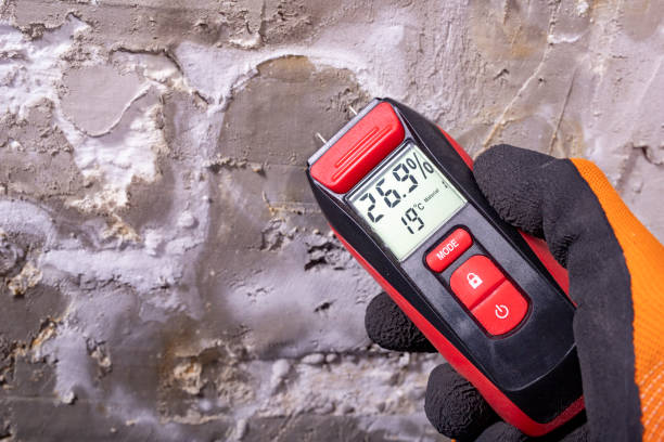 Best Water Damage Restoration  in Hartselle, AL