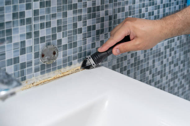 Best Mold Removal Near Me  in Hartselle, AL